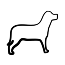 animals-animal-dog2.png