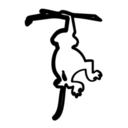 animals-animal-monkey.png