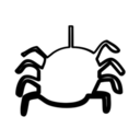 animals-animal-spider.png