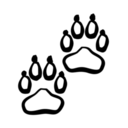 animals-paw-print3.png