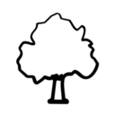 natural-wonders-tree5.png